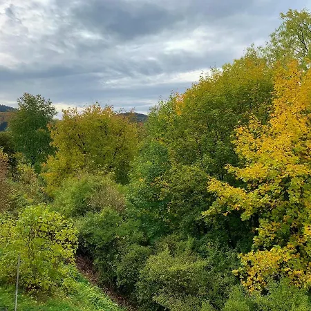 Aussen Pfui - Innen Hui 公寓