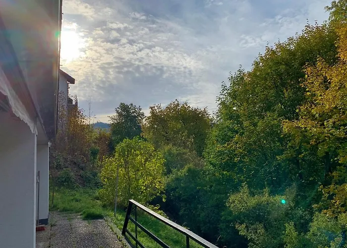 Aussen Pfui - Innen Hui Willingen (Upland)